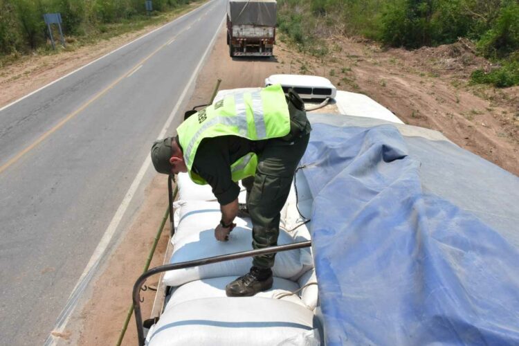 Incautaron más de 47 toneladas de soja sin documentación