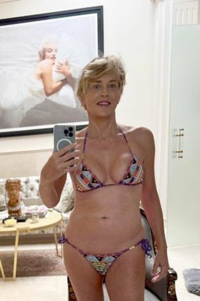 Sharon Stone asegura que su activismo contra el sida casi arruina su carrera