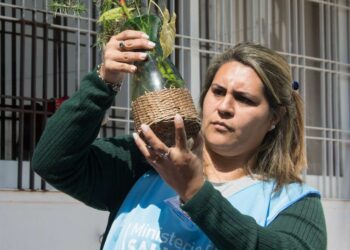 Comienza el monitoreo aédico para la prevención del dengue