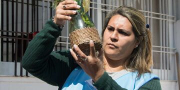 Comienza el monitoreo aédico para la prevención del dengue