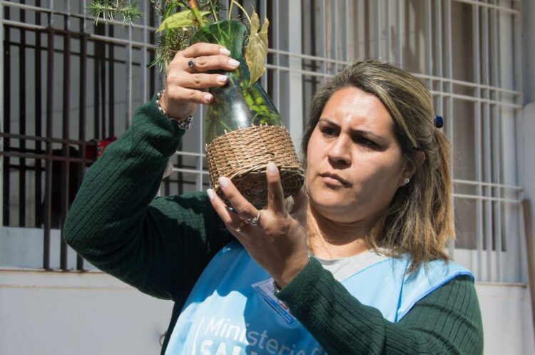 Comienza el monitoreo aédico para la prevención del dengue