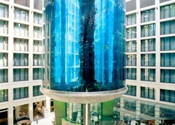 El acuario privado más grande del mundo explotó esta mañana en Berlin