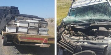 Un auto colisionó contra un camión que trasladaba panales y las abejas picaron a los accidentados