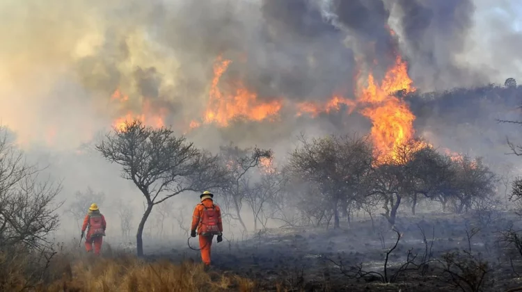 Continúan los incendios forestales en la jurisdicción de San Carlos Minas