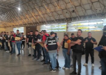 Tras 53 allanamientos, detuvieron a un policía y 14 personas más por robo de autos