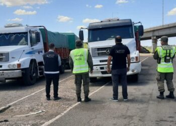 La AFIP incautó un contrabando de granos de trigo, soja y maíz valuados en más de $520 millones