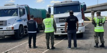 La AFIP incautó un contrabando de granos de trigo, soja y maíz valuados en más de $520 millones