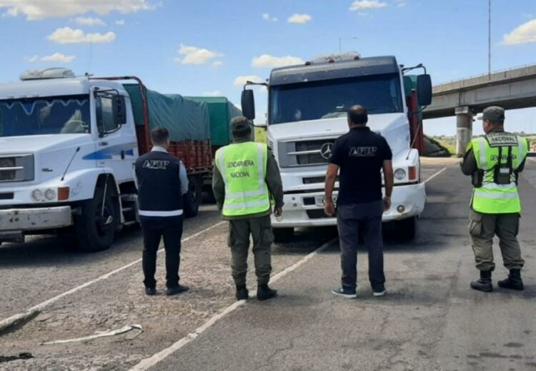 La AFIP incautó un contrabando de granos de trigo, soja y maíz valuados en más de $520 millones