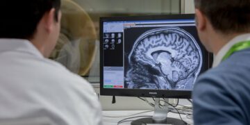 Importante avance de científicas argentinas para combatir la enfermedad de Alzheimer