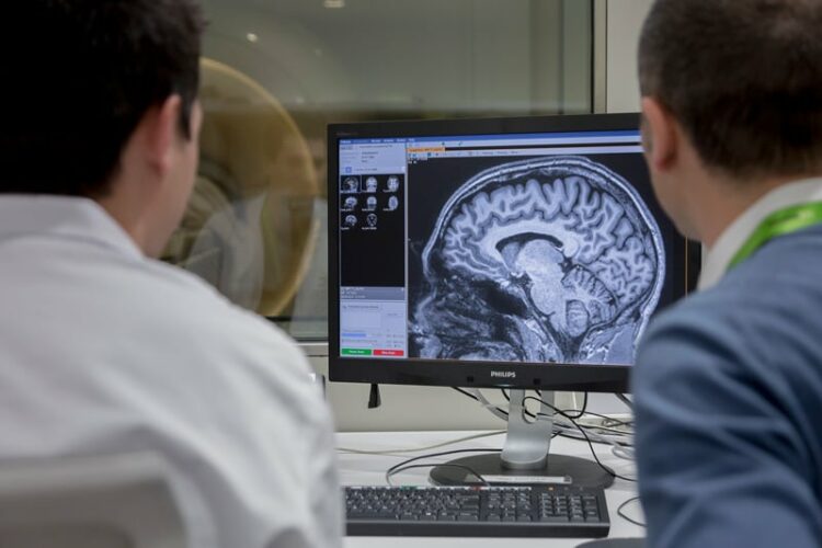 Importante avance de científicas argentinas para combatir la enfermedad de Alzheimer