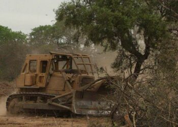 Advierten por un desmonte ilegal en el Cerro Champaquí
