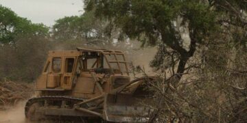 Advierten por un desmonte ilegal en el Cerro Champaquí
