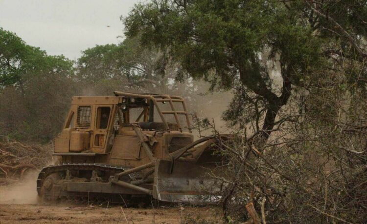 Desde Obras Públicas señalaron que sólo se están haciendo tareas de rutina.
