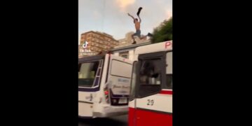 Estos son los momentos más increíbles de los festejos de los hinchas argentinos