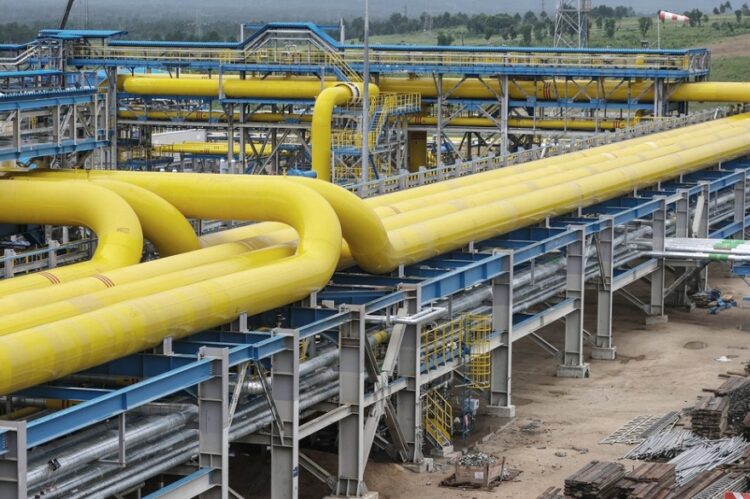 Por la crisis, la UE reduce su consumo de gas