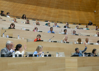 La Legislatura modificará la ley de autos judicializados