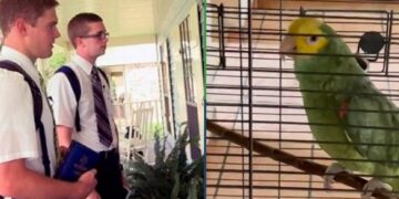Un loro se hizo pasar por el dueño de la casa y volvió locos a los testigos de Jehová