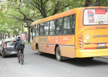 Hoy no habrá recolección de residuos y el transporte público será gratuito en la ciudad