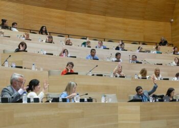 Concejales de la UCR presionan para impedir la re-reelección