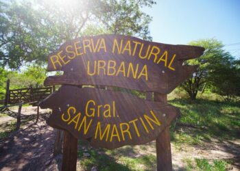 Alertan por el descuido de los espacios verdes de la ciudad