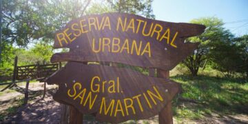 Alertan por el descuido de los espacios verdes de la ciudad