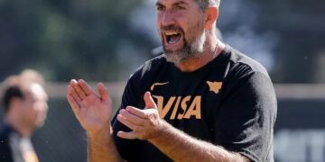 Entrenadores designados