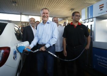 Reflota el debate por el punto de corte del biocombustible