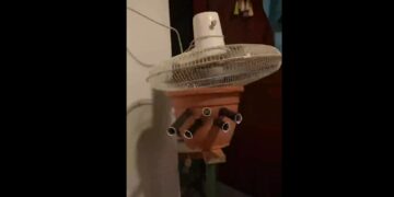 Armó un aire acondicionado casero con una maceta y hielo, y su técnica se viralizó