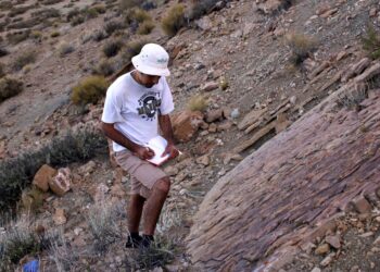 Hallan en Neuquén “patinadas” de dinosaurios de hace 130 millones de años