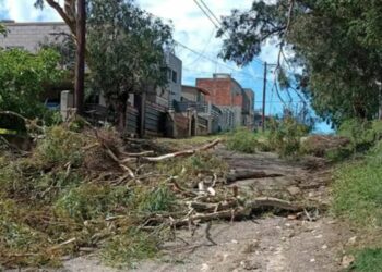Grandes destrozos en Malagueño por la tormenta de anoche