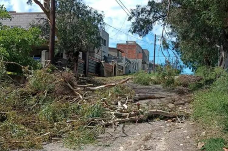 Grandes destrozos en Malagueño por la tormenta de anoche