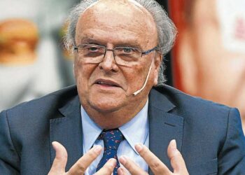 «Argentina y Brasil tienen en abundancia lo que está en crisis en el mundo», destacó De Mendiguren