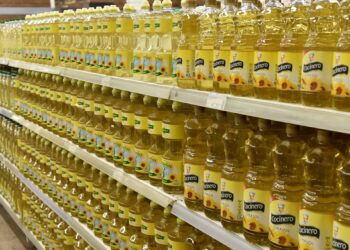 El Gobierno creó un programa para balancear el precio de los aceites y asegurar su abastecimiento