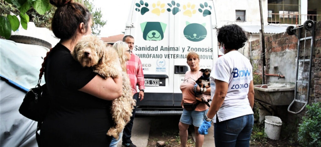 600 animales fueron rescatados de un criadero clandestino
