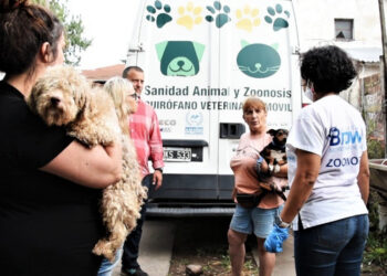 600 animales fueron rescatados de un criadero clandestino