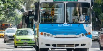 Para los domingos de enero, los viajes en colectivo urbano no tendrán cargo