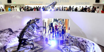 La cultura de Córdoba también se disfruta en verano: como funcionarán los museos esta temporada