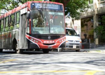Habrá colectivos gratuitos durante los domingos de enero