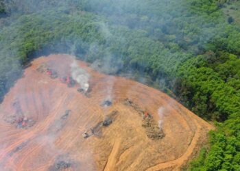 Hubo deforestación récord en el Amazonas durante el último año de gobierno de Bolsonaro