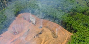 Hubo deforestación récord en el Amazonas durante el último año de gobierno de Bolsonaro