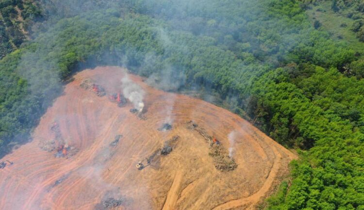 Hubo deforestación récord en el Amazonas durante el último año de gobierno de Bolsonaro