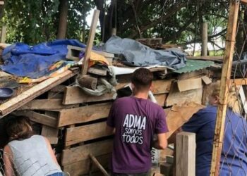 Secuestran una gran cantidad de animales a la mujer atacada por una de sus mascotas en Alta Gracia