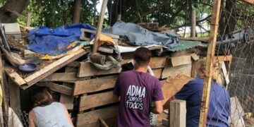 Secuestran una gran cantidad de animales a la mujer atacada por una de sus mascotas en Alta Gracia