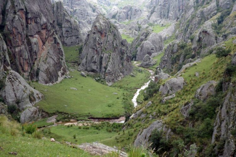 Lammens confirmó el PreViaje 4 y dio algunos detalles de cómo será la próxima edición