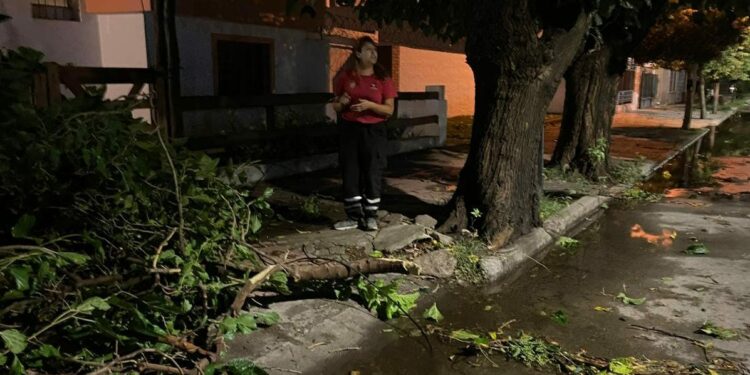 En fotos y videos, lo que la tormenta se llevó en Córdoba