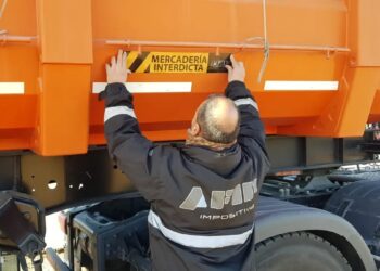 La Aduana secuestró cargas ilícitas de granos y agroquímicos por más de $ 28.000.000