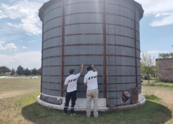 Afip incautó varias toneladas de granos