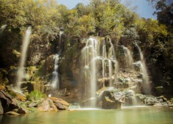 Anunciaron que habrá PreViaje 4: ¿Cuándo inicia?