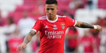 En el medio de la puja por Enzo Fernández, el DT de Benfica aseguró que no quieren venderlo