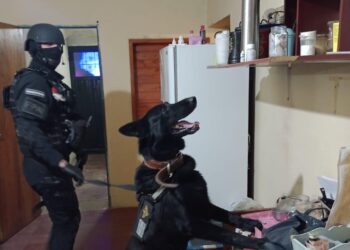 Un policía de Córdoba con licencia psiquiátrica vendía drogas a domicilio